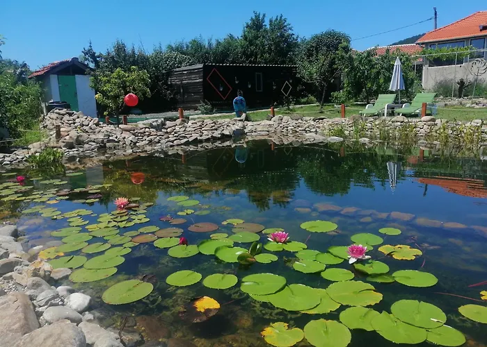 Calla Retreat Хижа Vezenkovo