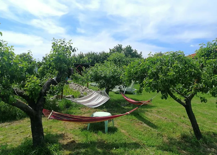 Calla Retreat Хижа Vezenkovo