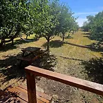 Calla Retreat Lodge Vezenkovo