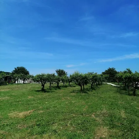 Alojamento de Turismo Selvagem Calla Retreat