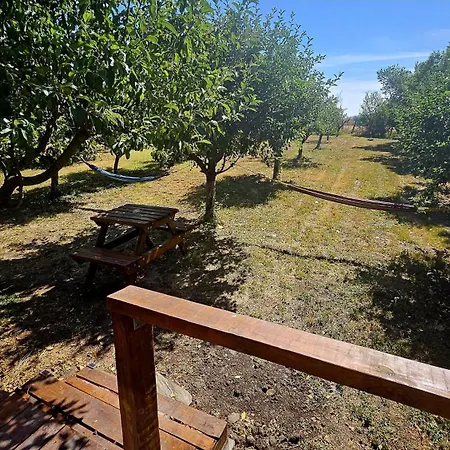 Calla Retreat Lodge Vezenkovo