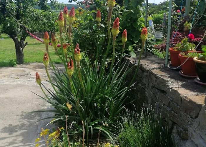 Calla Retreat Хижа