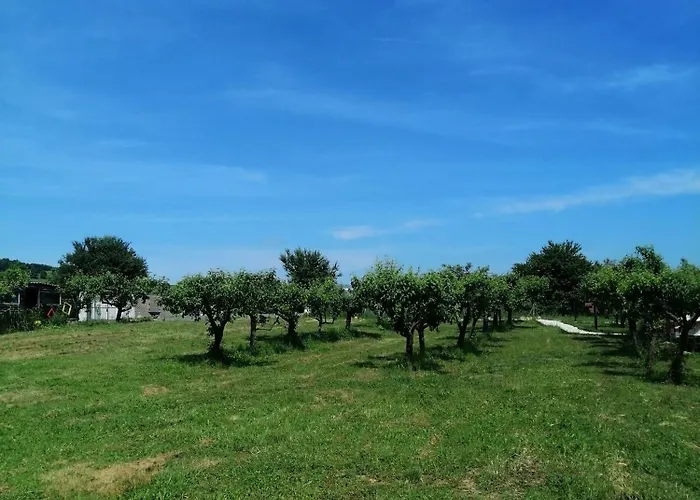 山林小屋 Calla Retreat